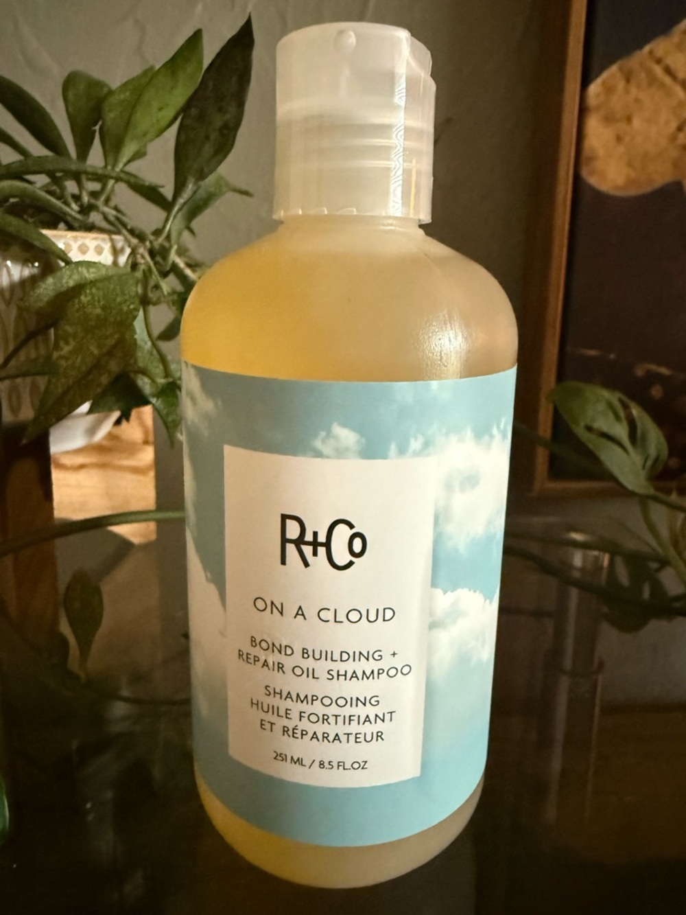 R+Co On A Cloud Bond Building Repair Oil Shampoo - light blue and white label